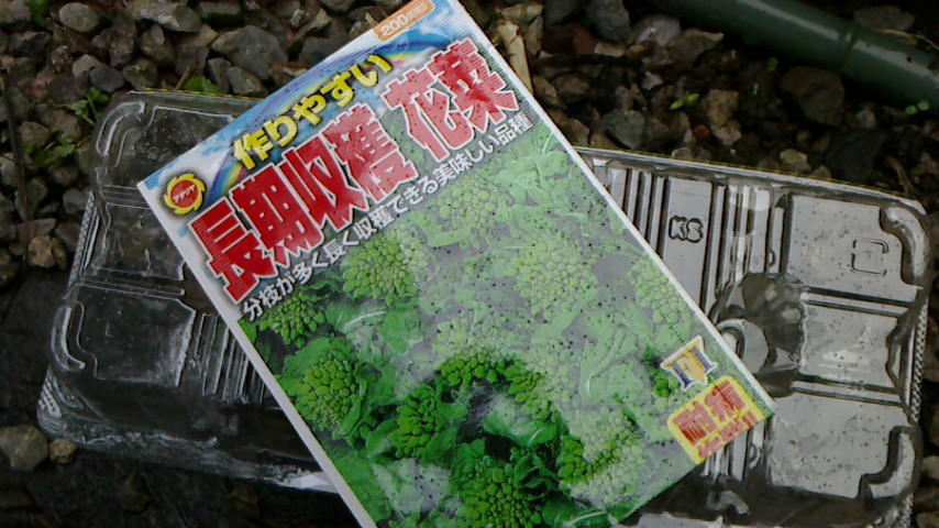 NEC_0220.JPG