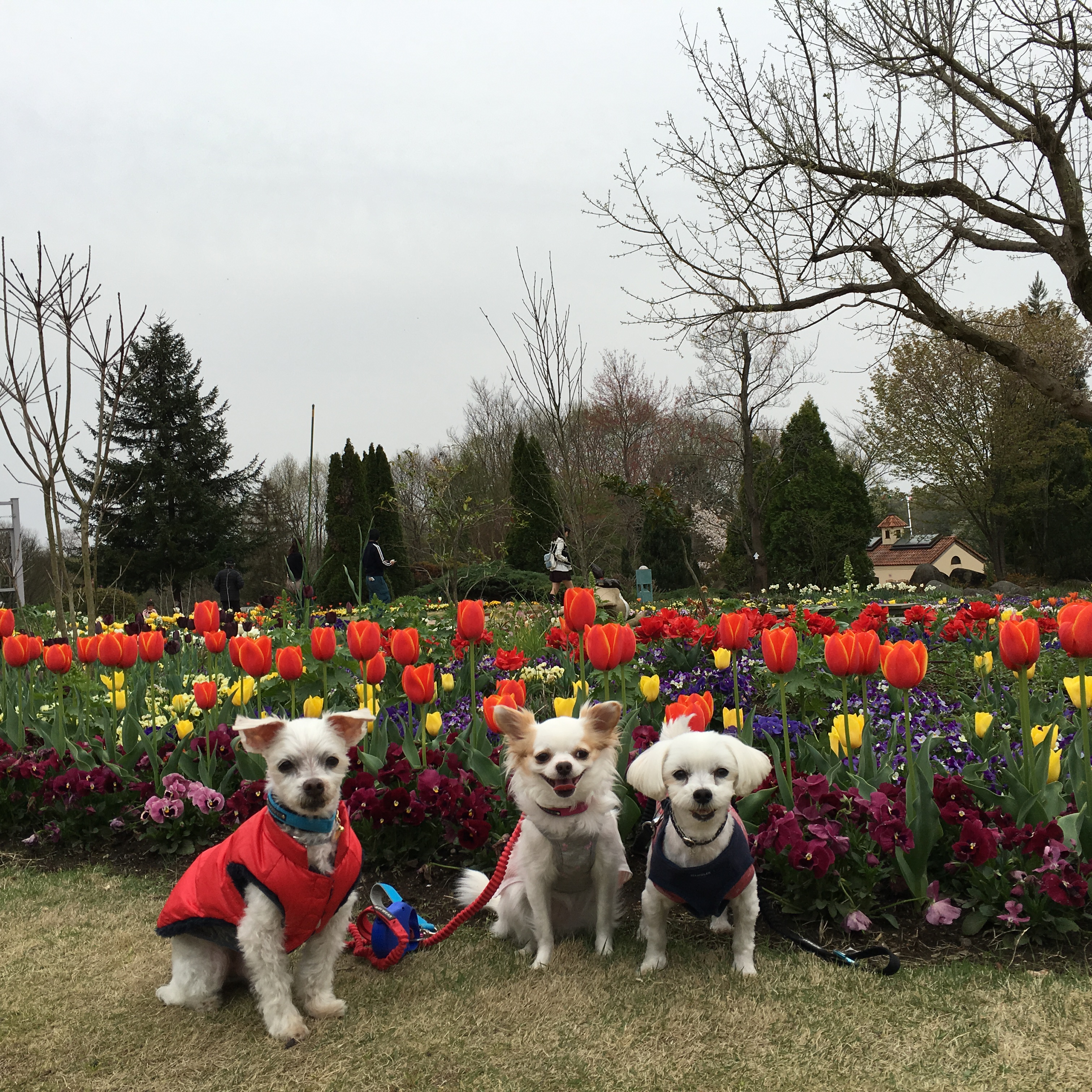 201604151612_5572_iphone.jpg