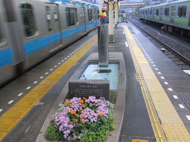 花壇