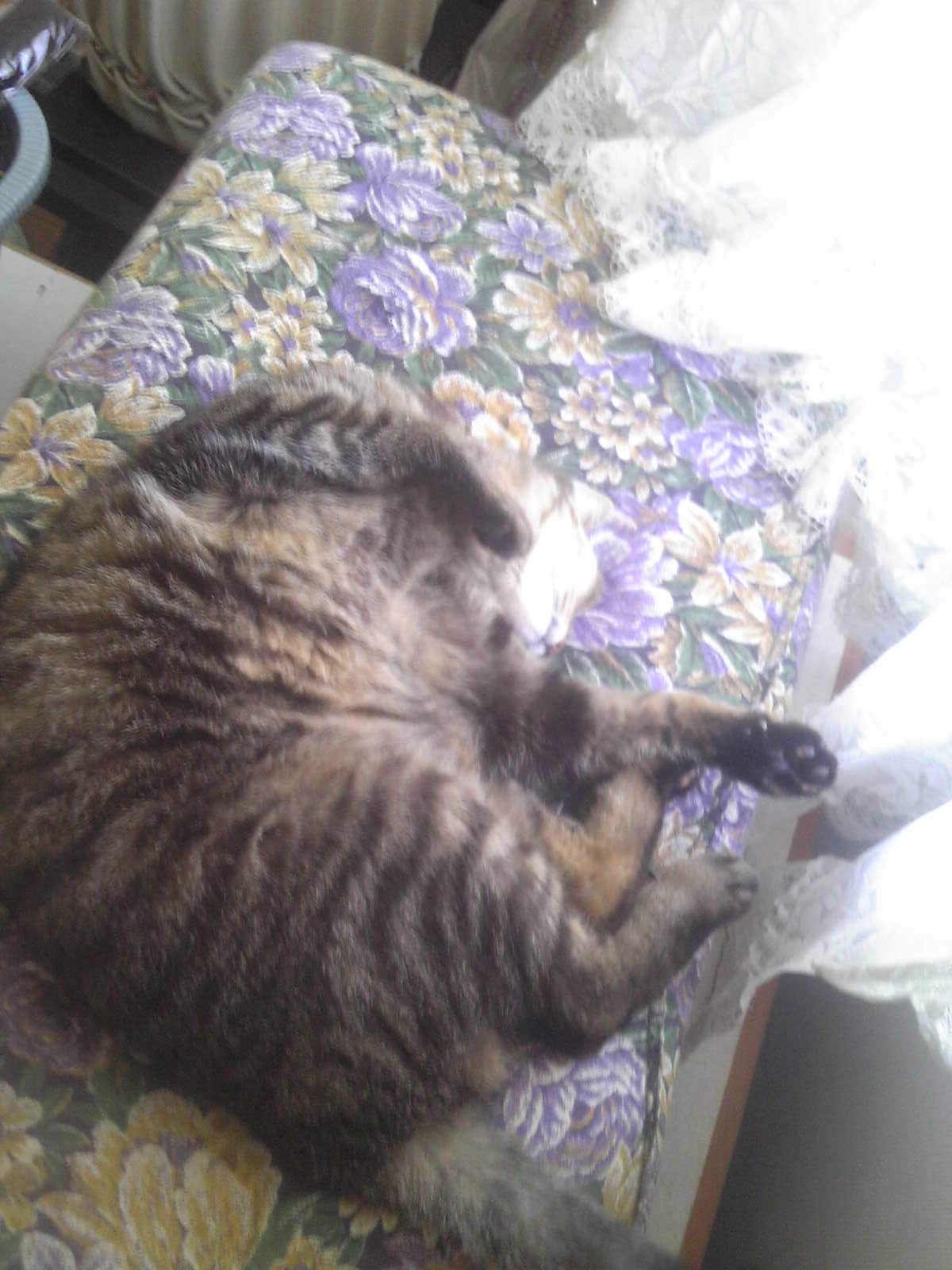 191002_134154.jpg