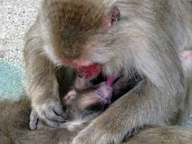 命名の日のレイワ (5).JPG