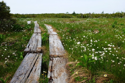 田代山1020140524.jpg