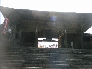 P4180822.jpg