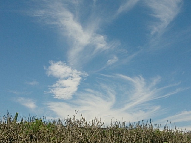 20140711  DSC_0006.jpg