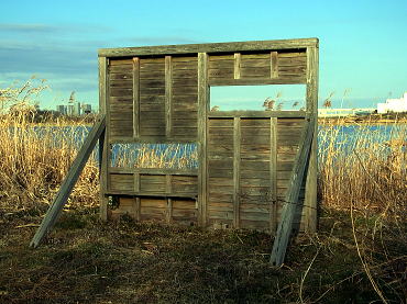 130203-25.jpg
