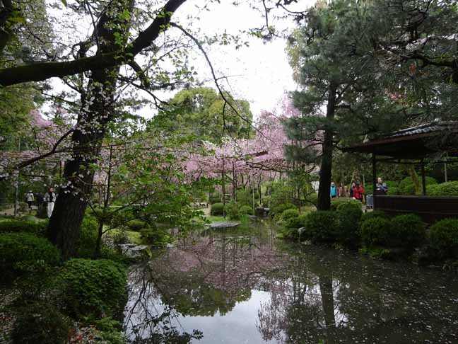 平安神宮 (50).JPG