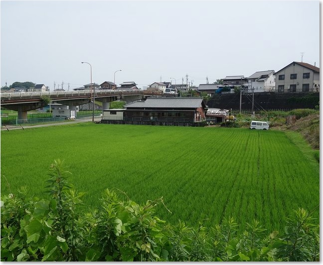 15街道からの眺め