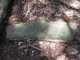 IMG_1305.JPG
