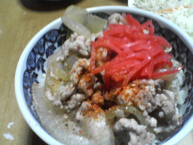 豚丼20091703