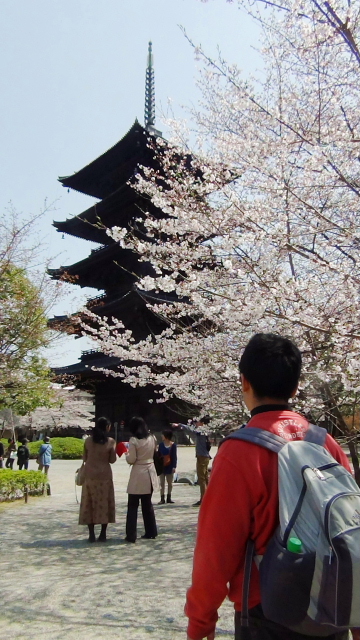 dc0330162.jpg