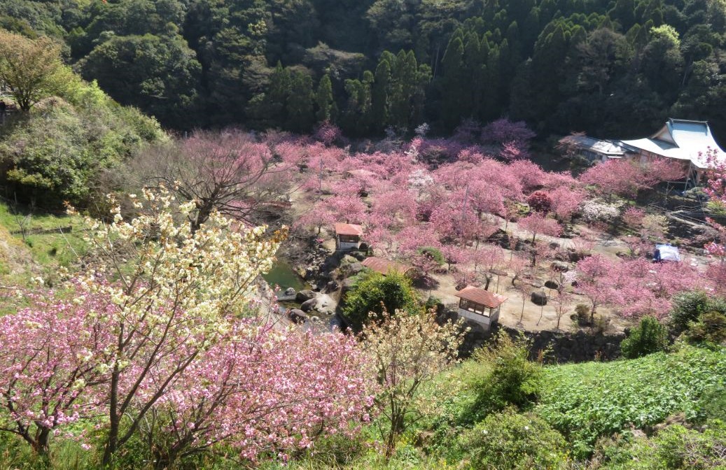 一心寺 (21).jpg