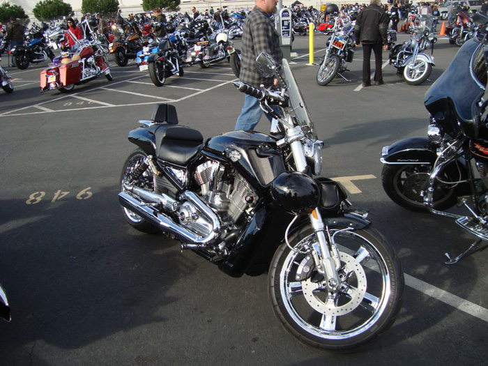 DSC03460.JPG
