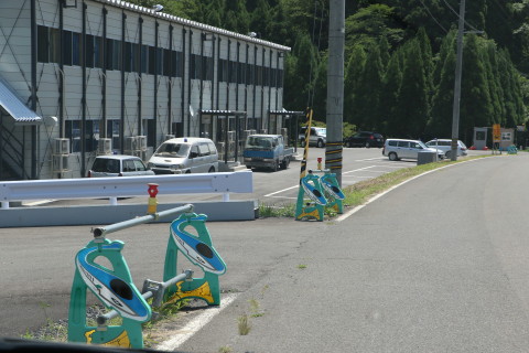 H41A8769.JPG