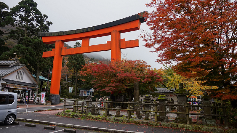 20141112 10130901.jpg