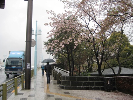 浅草卯月 048.JPG