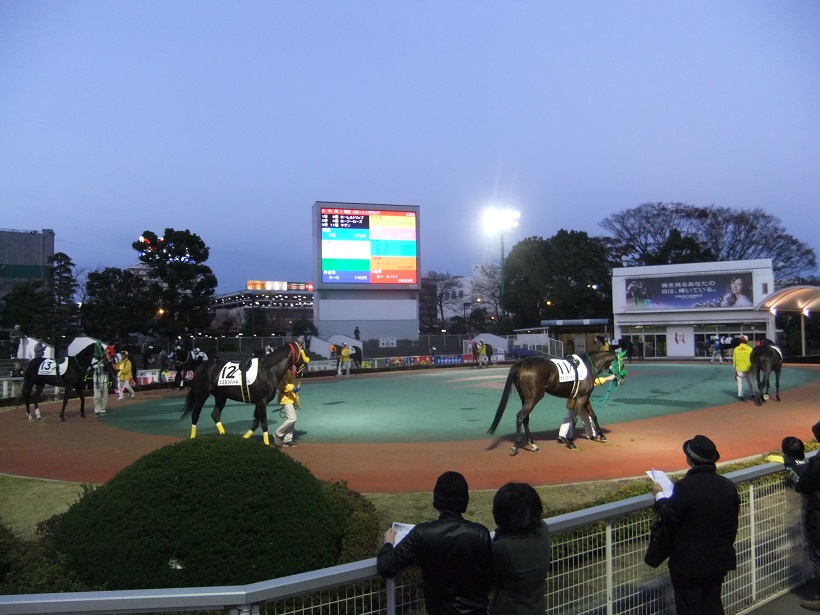 大井競馬場２20131127.JPG