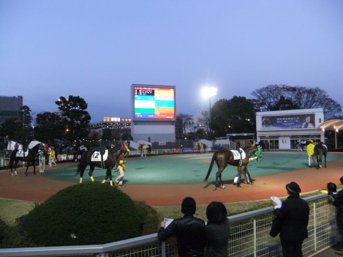 大井競馬場２