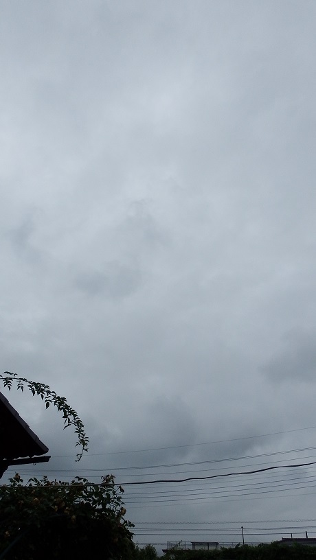 DSCF9091.JPG