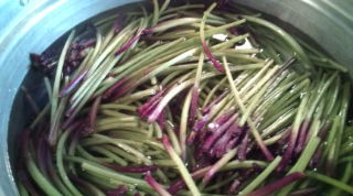 20120508123043.jpg