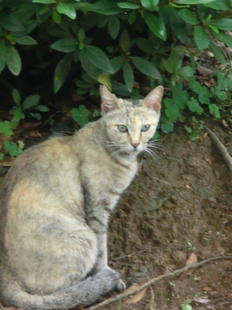 CIMG5254.JPG