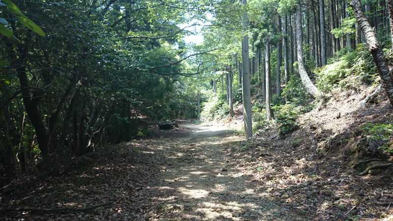 DSC_0920.jpg