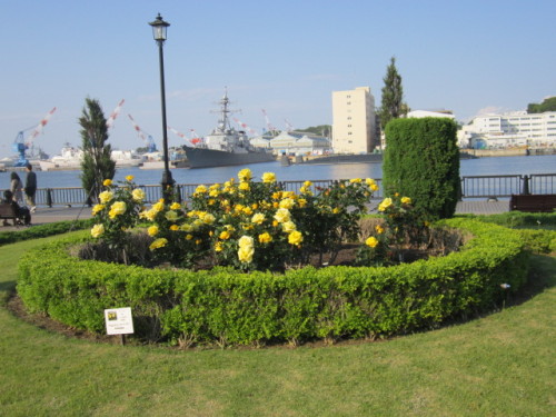 ソリドールと横須賀港