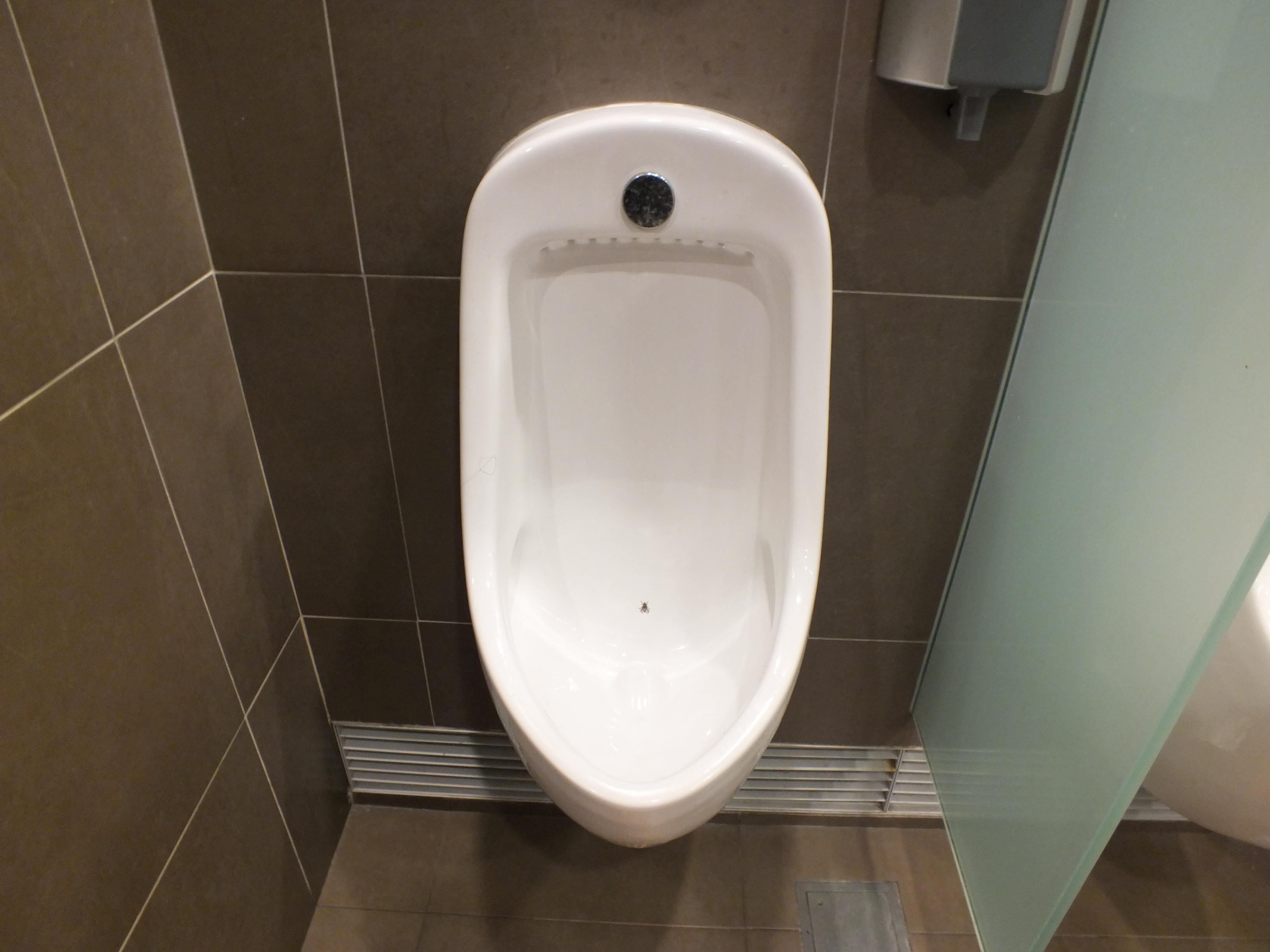 DSCF2589.JPG