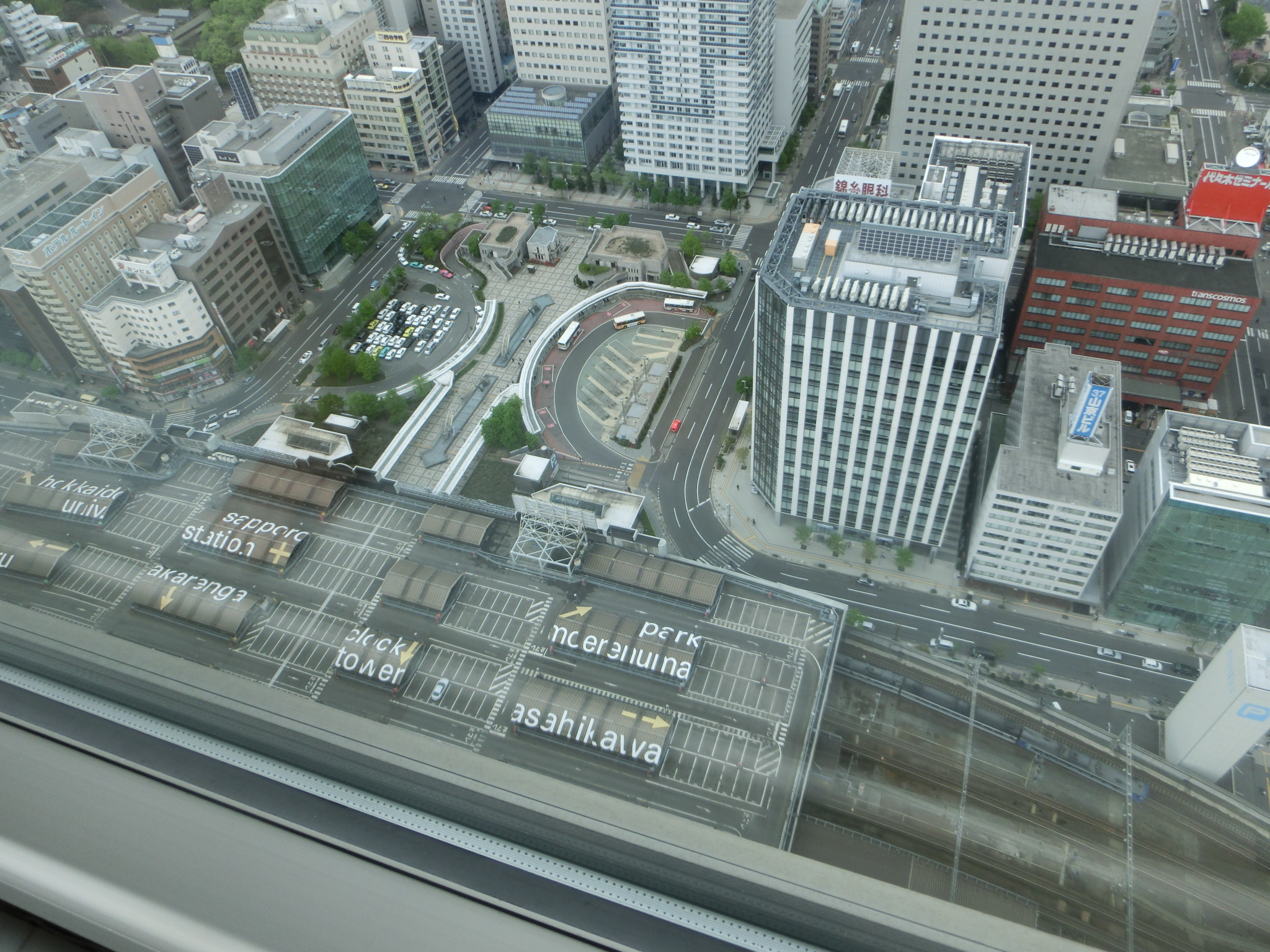 CIMG0231.JPG