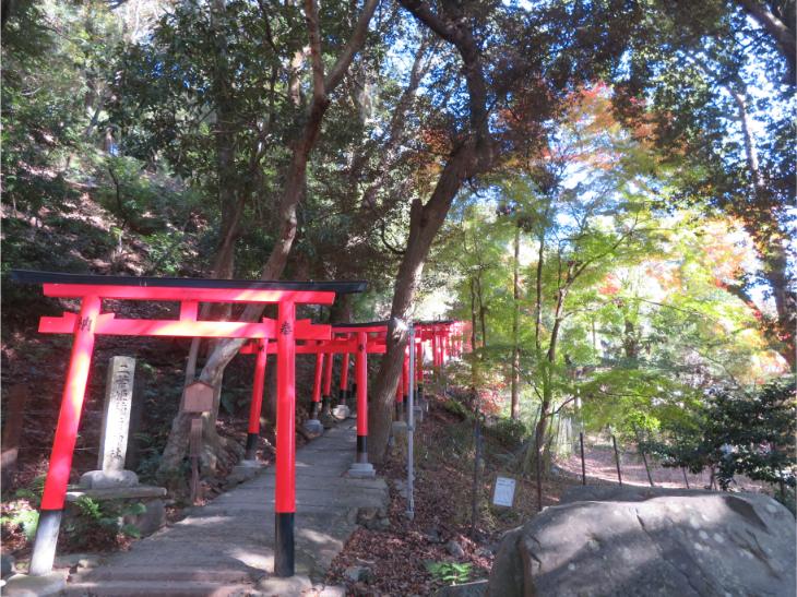 上賀茂神社 (32).jpg