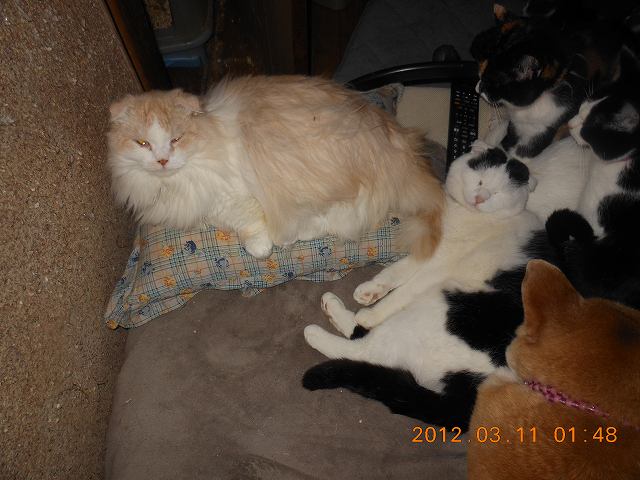 DSCN3147.JPG