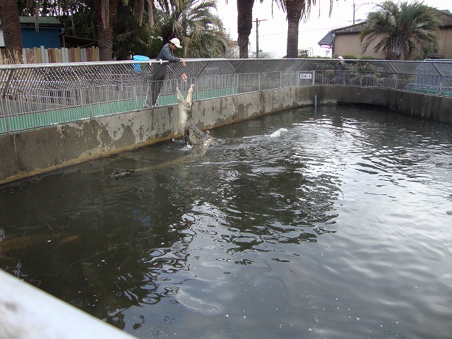 DSC01145.jpg