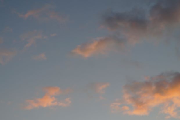 _DSC1505.JPG