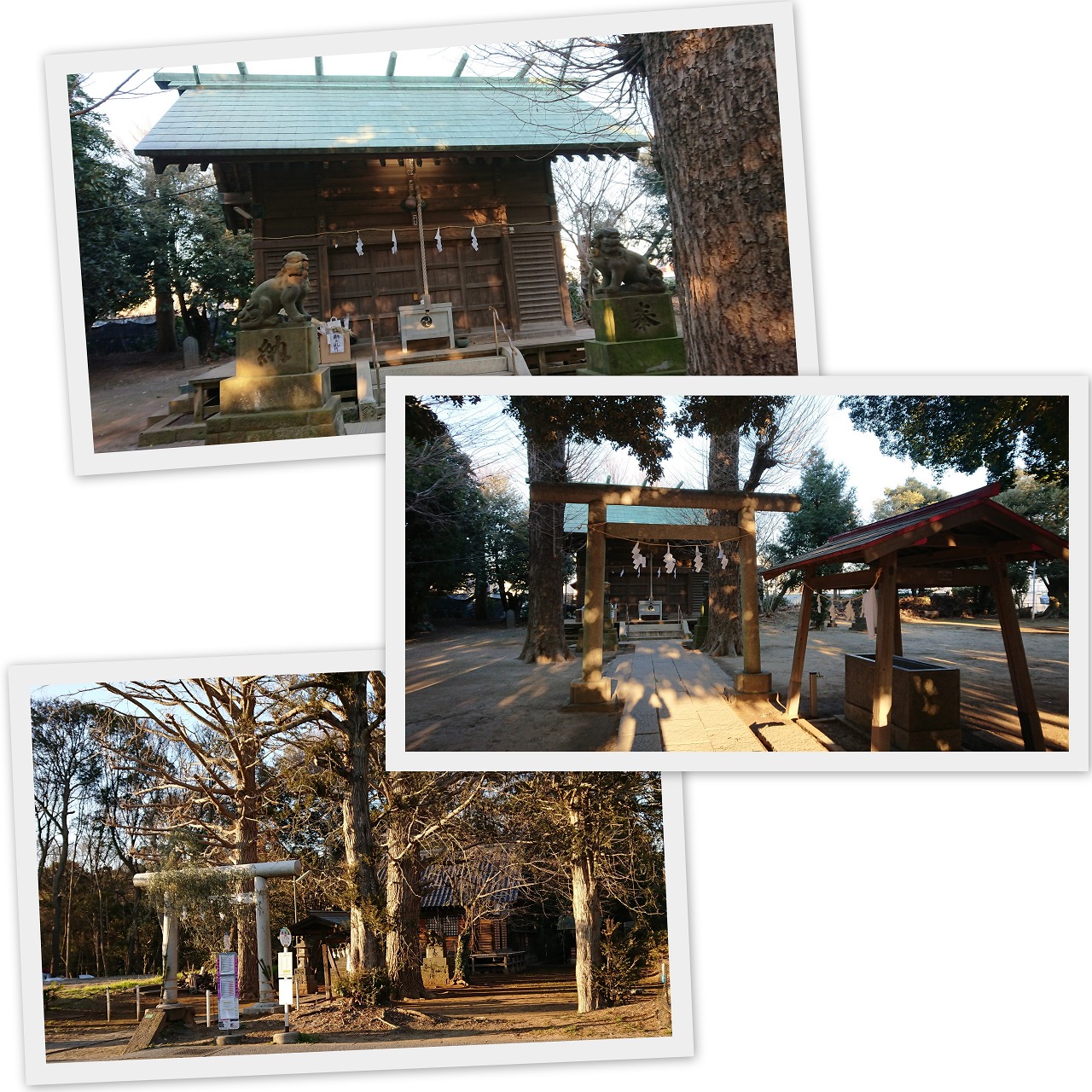 2019-01-04近所の神社.jpg