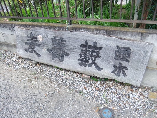 並木藪蕎麦堀江店の看板20120629.JPG