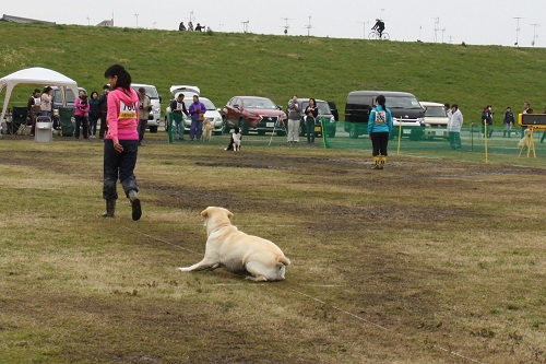 IMG_7492.JPG
