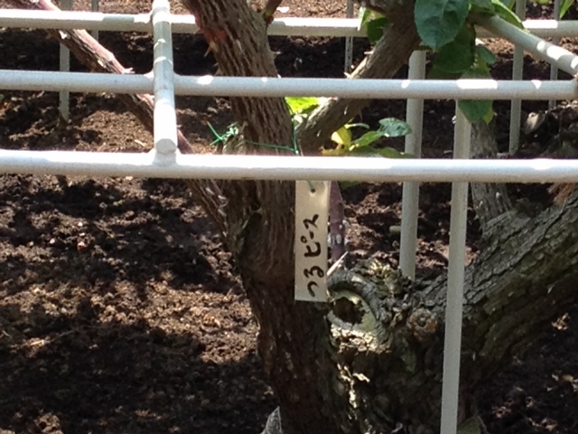 IMG_9048 (640x480).jpg