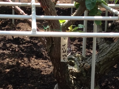 IMG_9048 (640x480).jpg