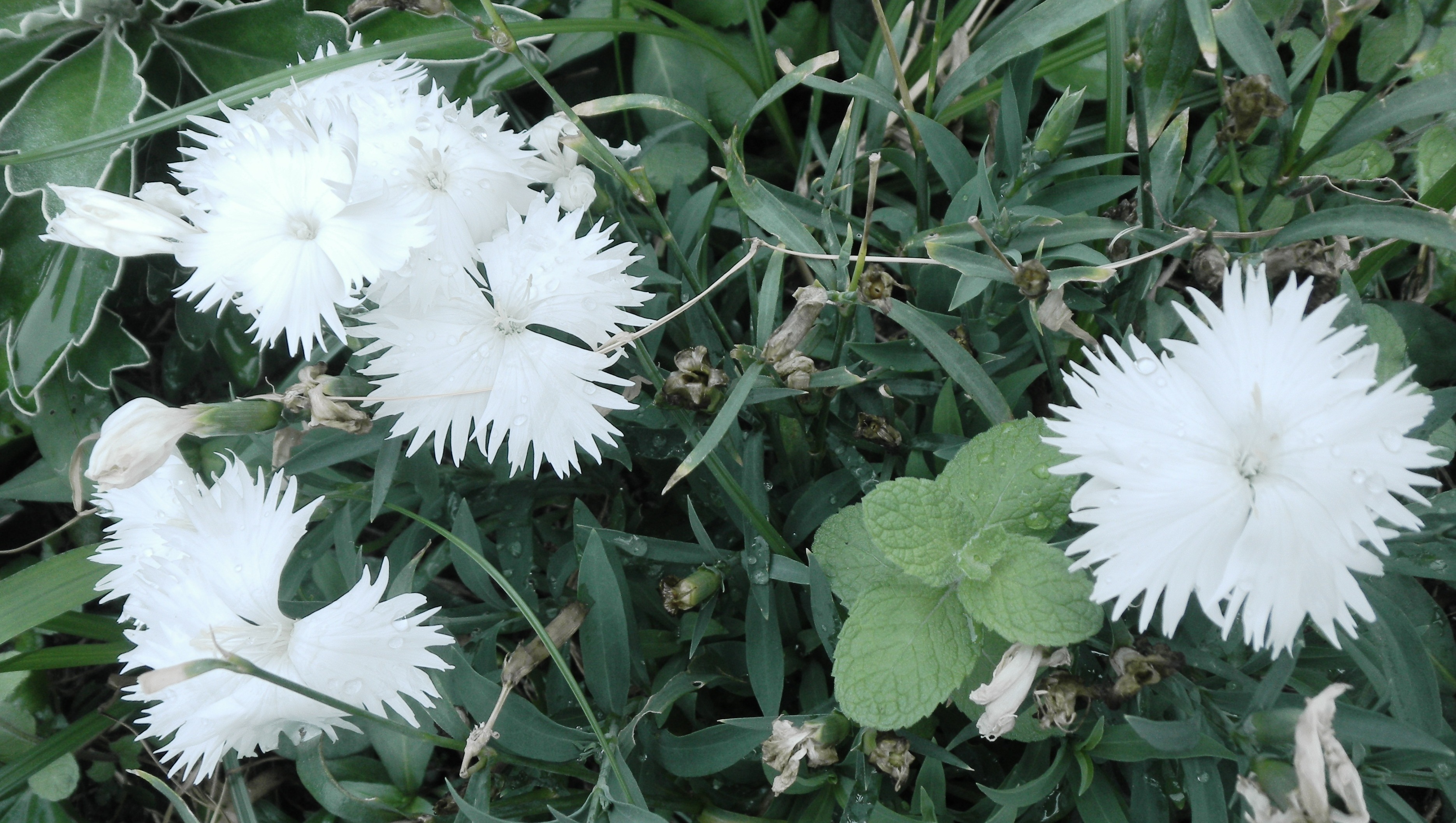 003(V.2012_08_08__11_00_39).jpg