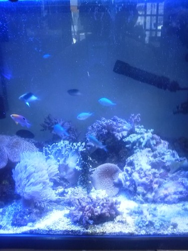DSC_2530.jpg