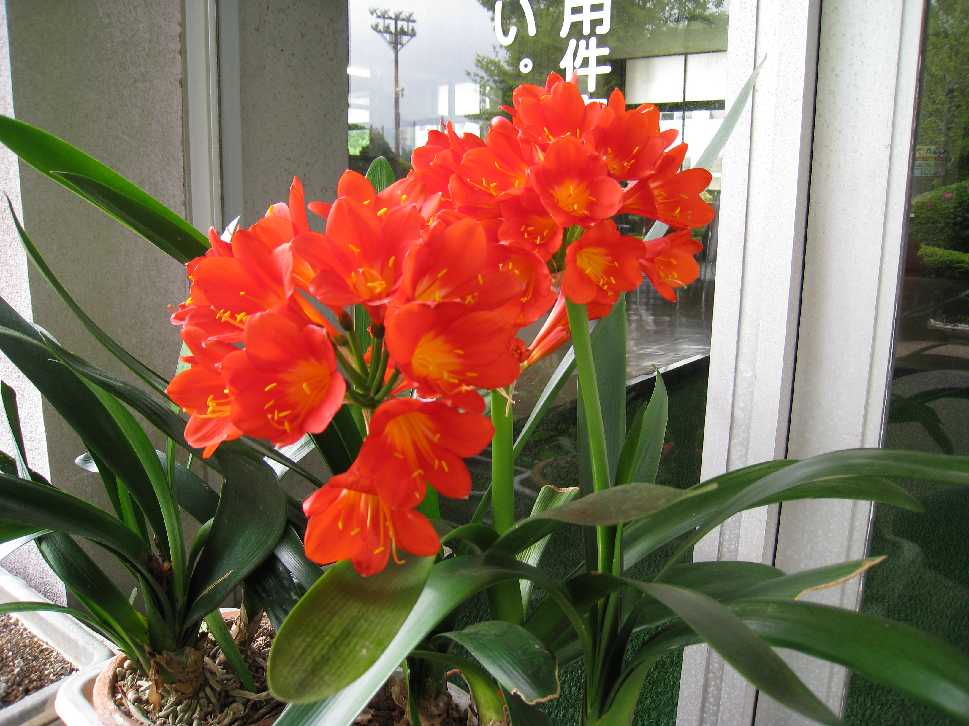 IMG_0004.JPG