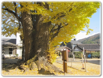 1425新宮神社_1425.jpg