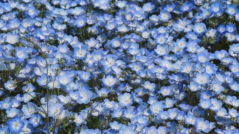 20150430 09221601.JPG