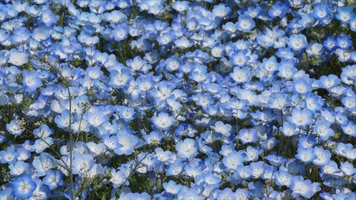 20150430 09221601.JPG