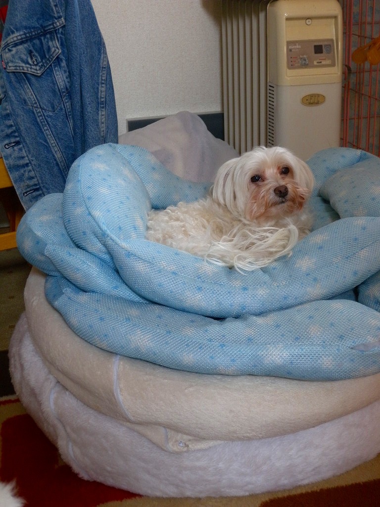 2010.04.06 10'38.jpg