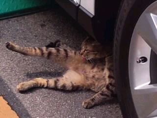 こんなところで涼んでいては…