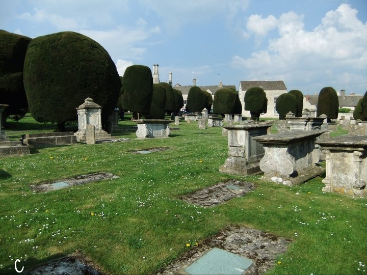 229795_10150169636627821_2841004_n[1] (2).jpg