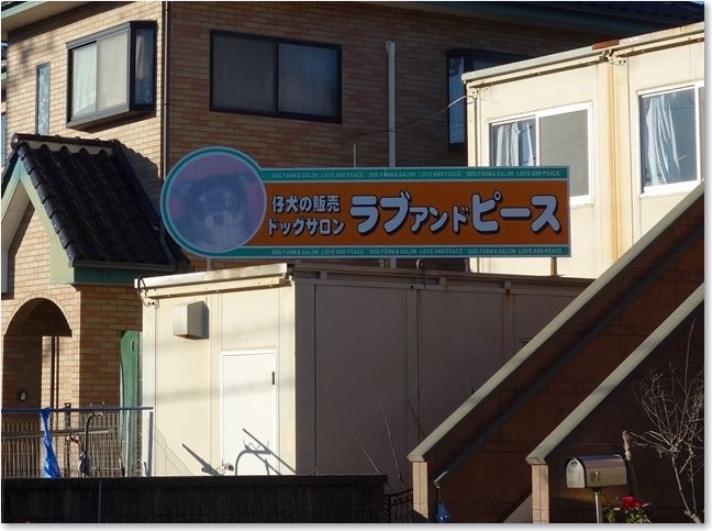 15ラブアンドピースＲ