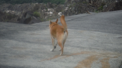 DSCF7289 (640x360).jpg