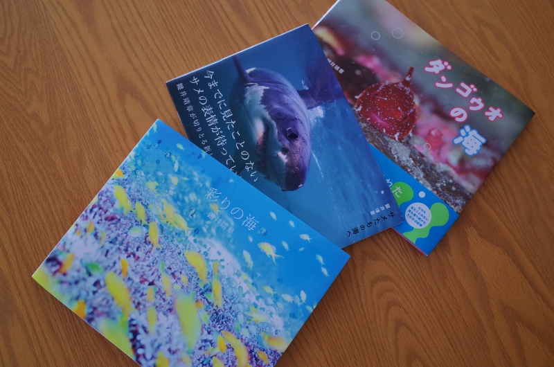 R0000308 (800x530).jpg