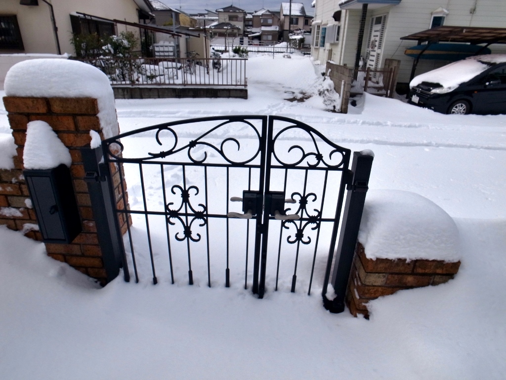 R0050773 (1024x768).jpg